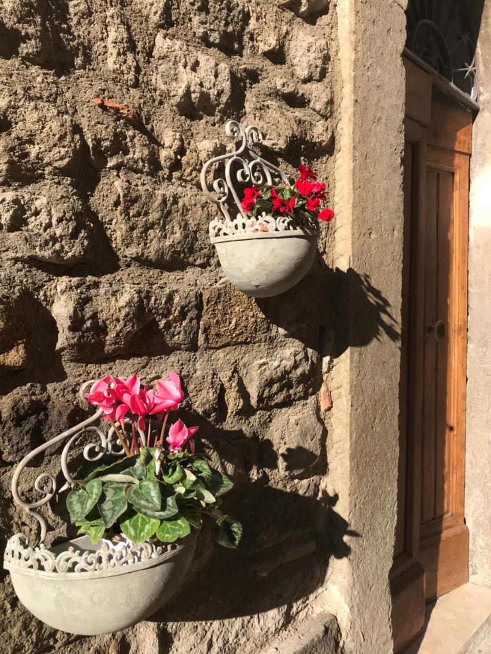 Il Gallo ヴィテルボ エクステリア 写真